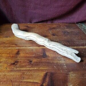 Driftwood Decor - 13" - Terrarium Taxidermy Aquarium Aquascape Reptile Parrott
